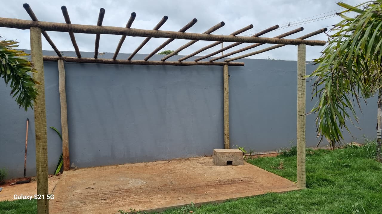 Palmeira sendo plantada